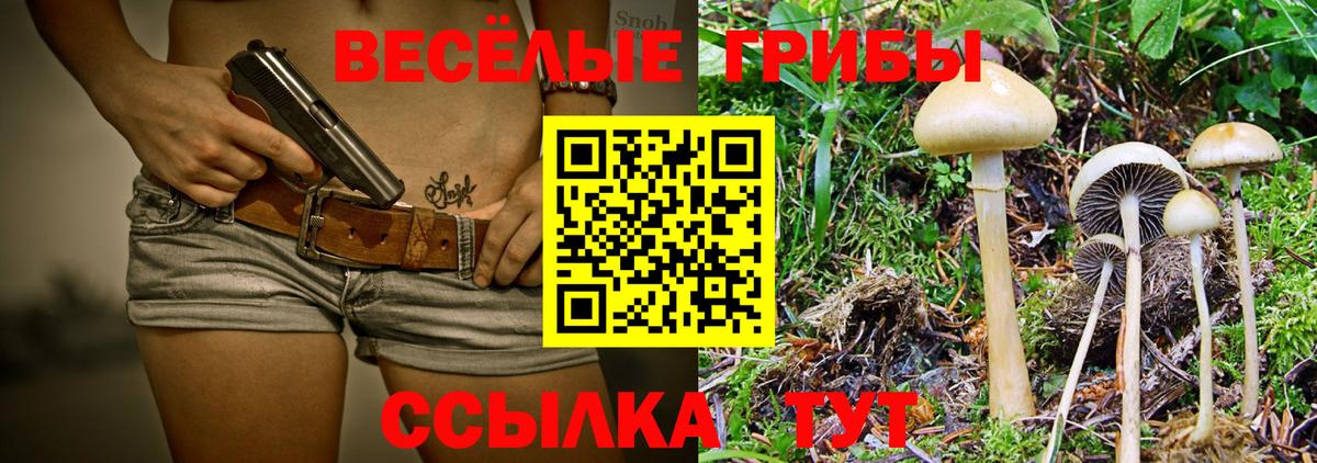 Амфетамин Рубцовск