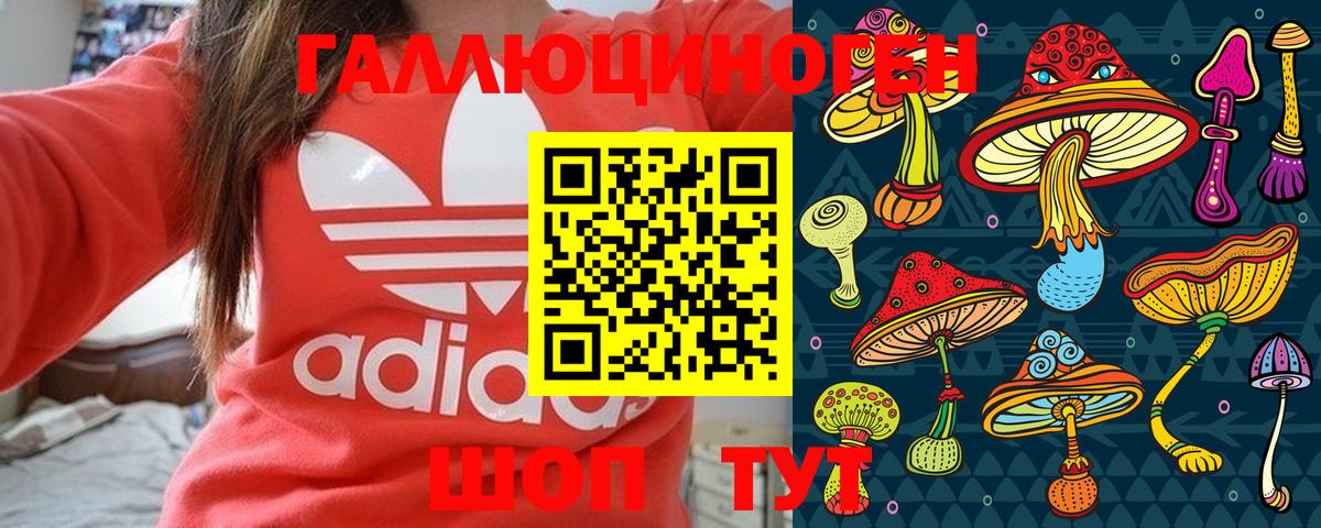 Галлюциногенные грибы Cubensis Рубцовск