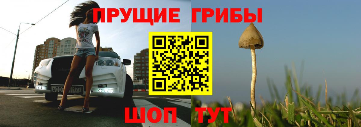 Рубцовск  Псилоцибиновые грибы Psilocybe  Галлюциногенные грибы ЛСД  Вход с VPN 